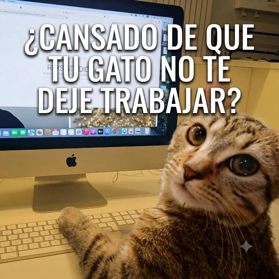 ¿Cansado de que tu gato no te deje trabajar? MichiMotion