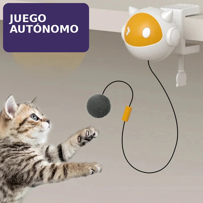 Gato intentando atrapar la pelota del juguete colgante
